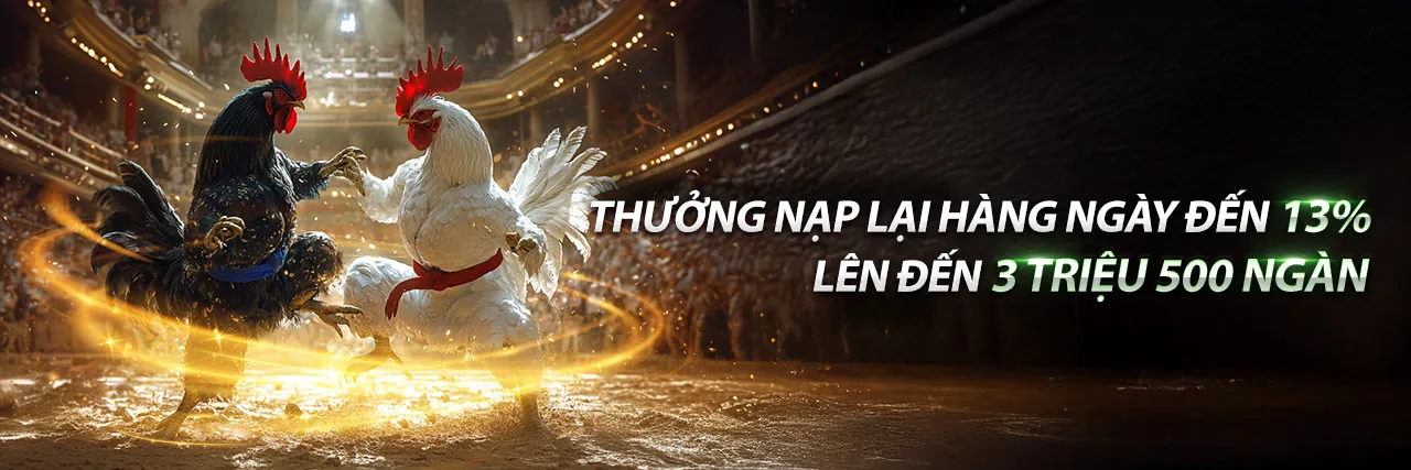 Hình nền nhà cái uy tín